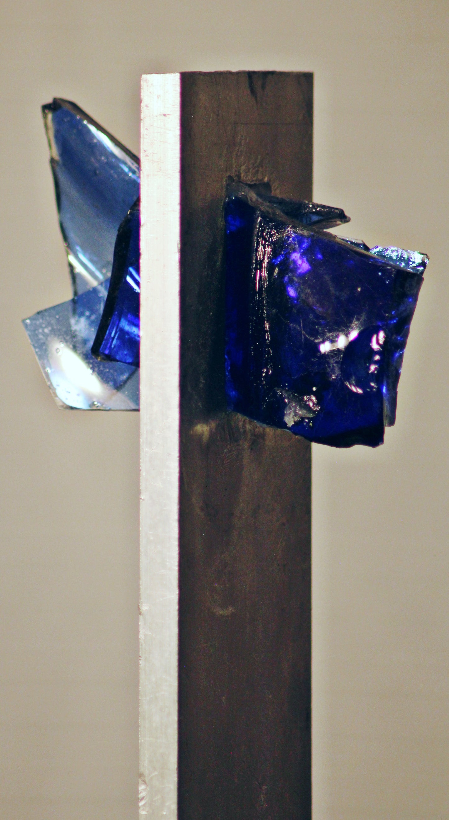 Blue #1