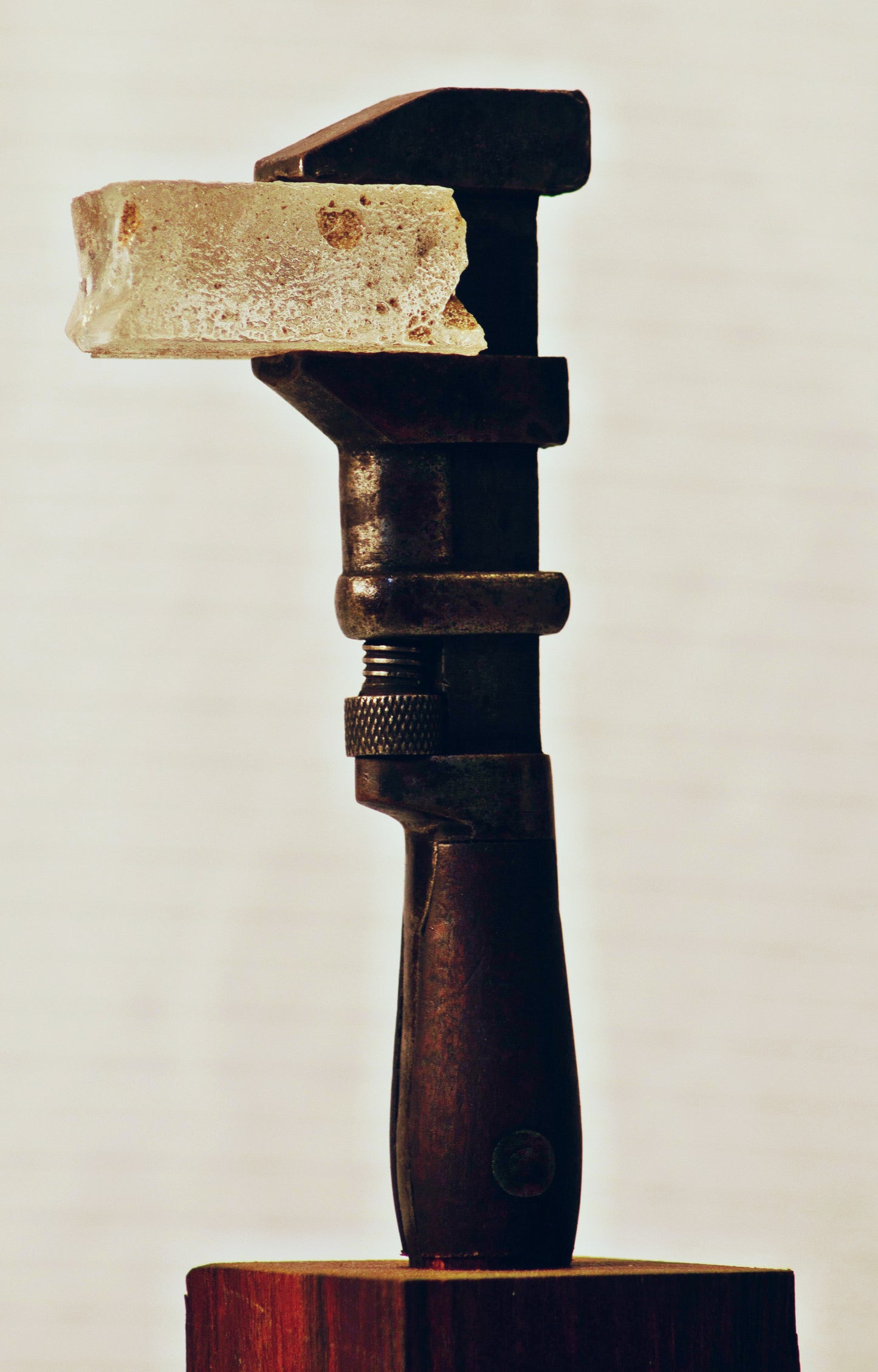 Tool #6