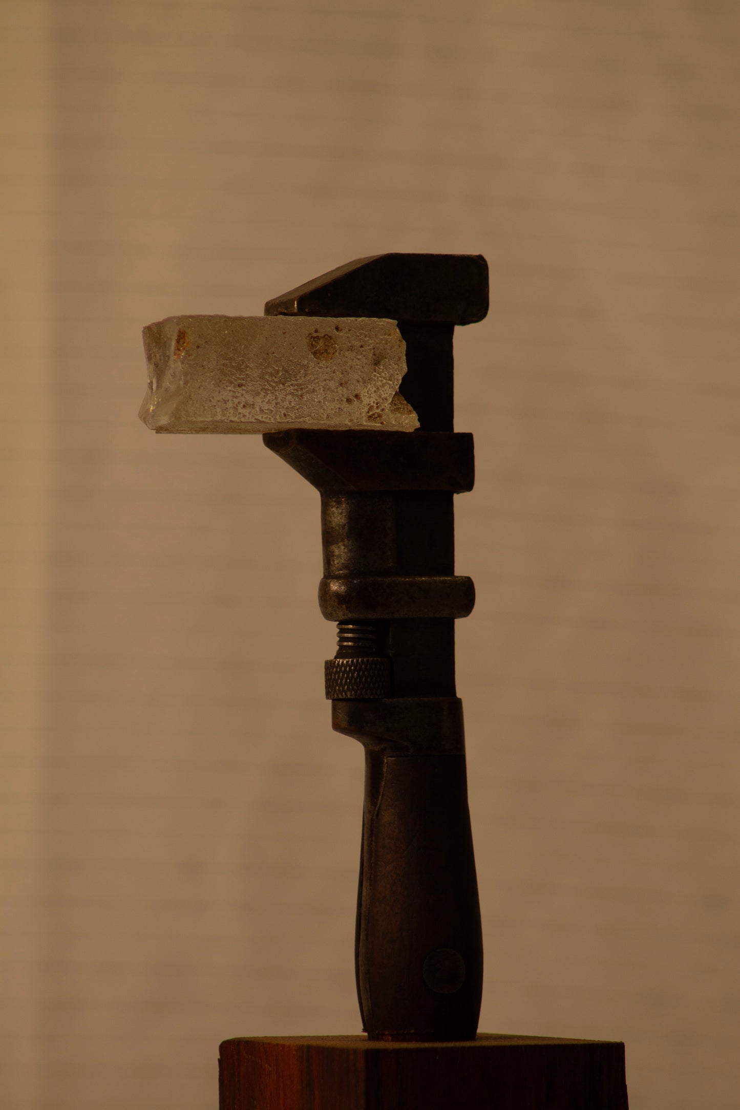 Tool #6
